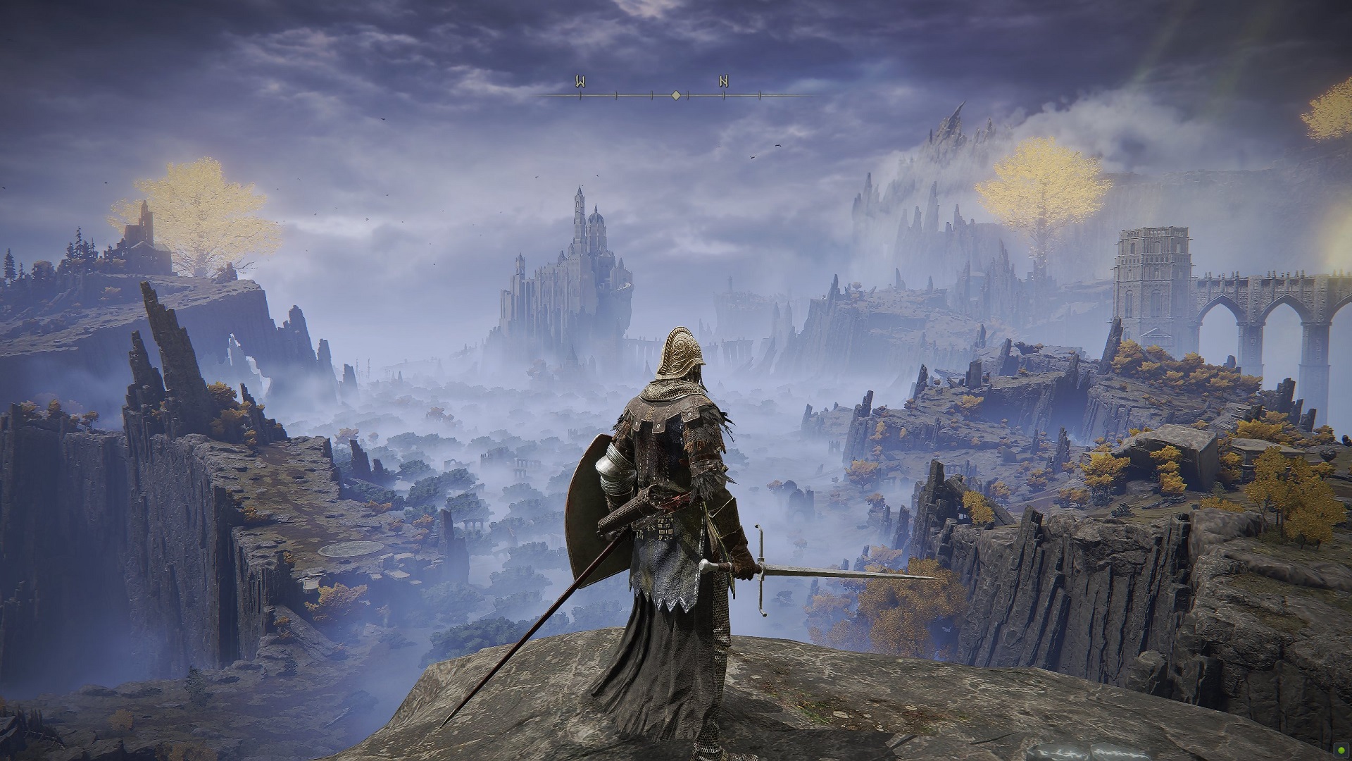 Скриншот из игры Elden Ring, на котором игрок Tarnished стоит в мрачном фэнтезийном мире.
